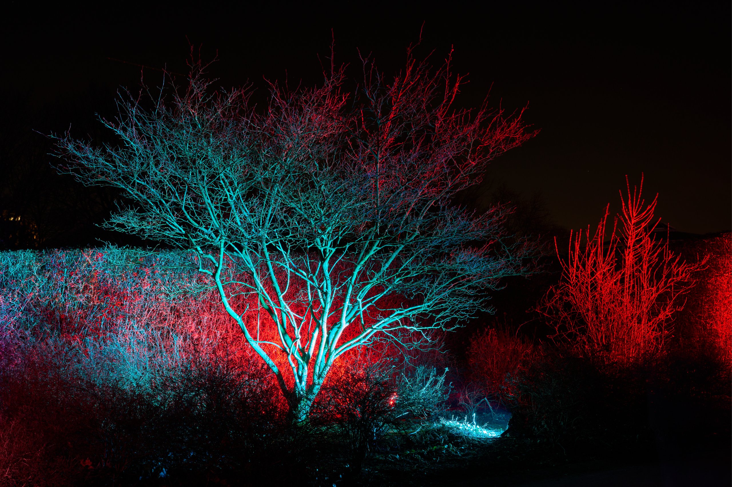 2025 02 04 Parkleuchten 0128